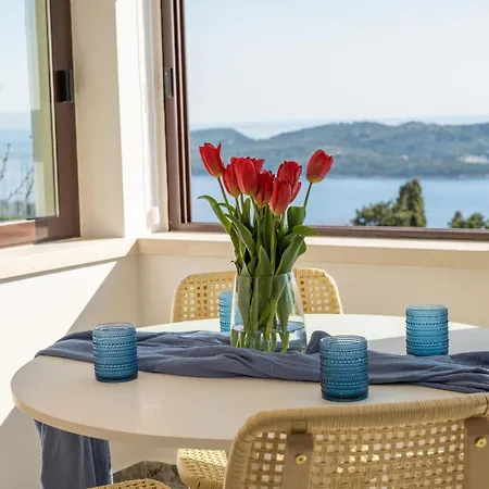 Judita Dubrovnik Villa *