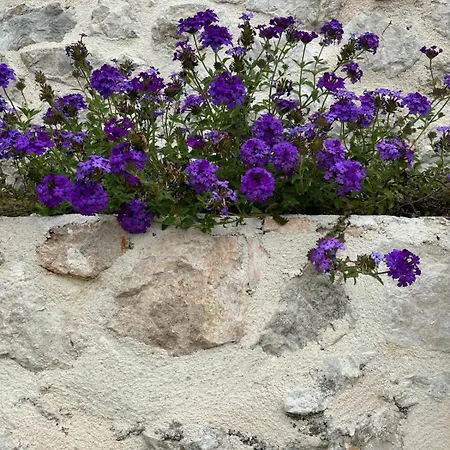 Judita Dubrovnik Villa