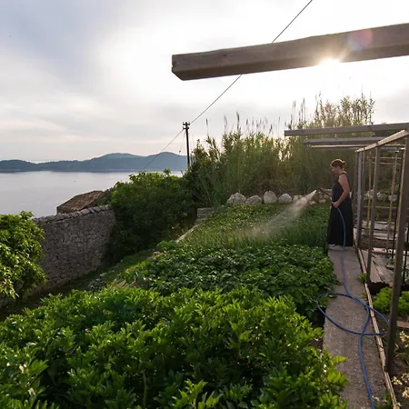 Villa Judita Dubrovnik *